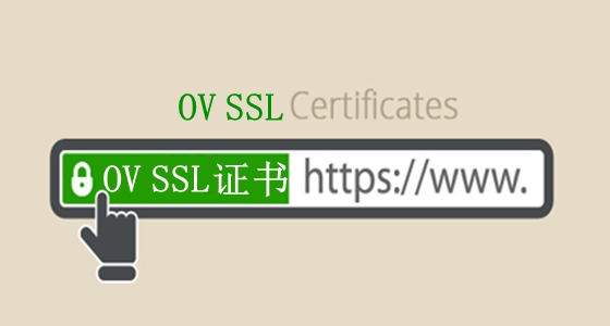 什么是OV SSL证书？OV SSL特点和价格介绍