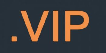 vip域名前景怎么样 vip域名注册价格是多少