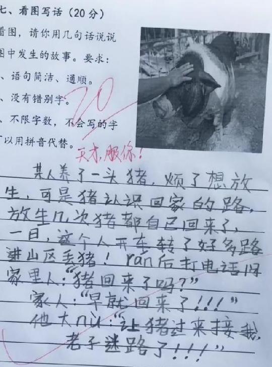 一篇作文气死99个老师让老师吐血的搞笑作文（一文详解）